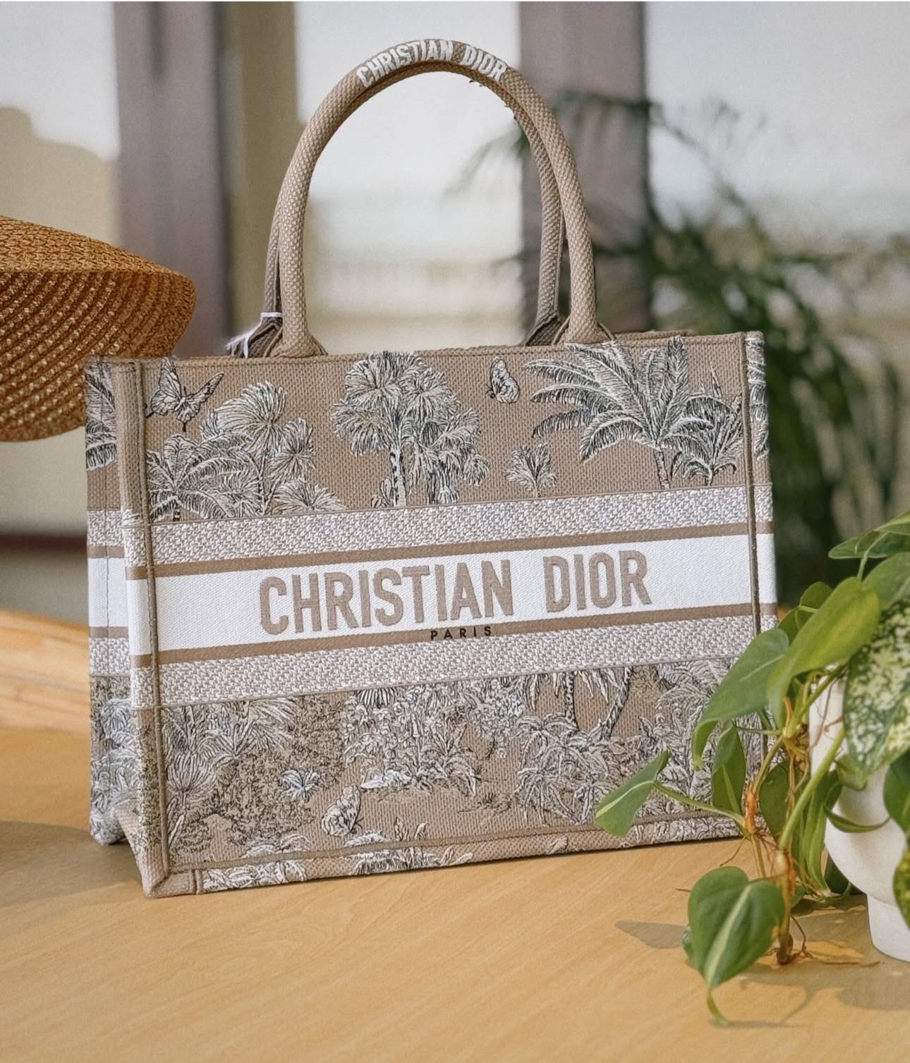 Christian Dior Book Tote – Toile de Jouy Embroidery (Beige)