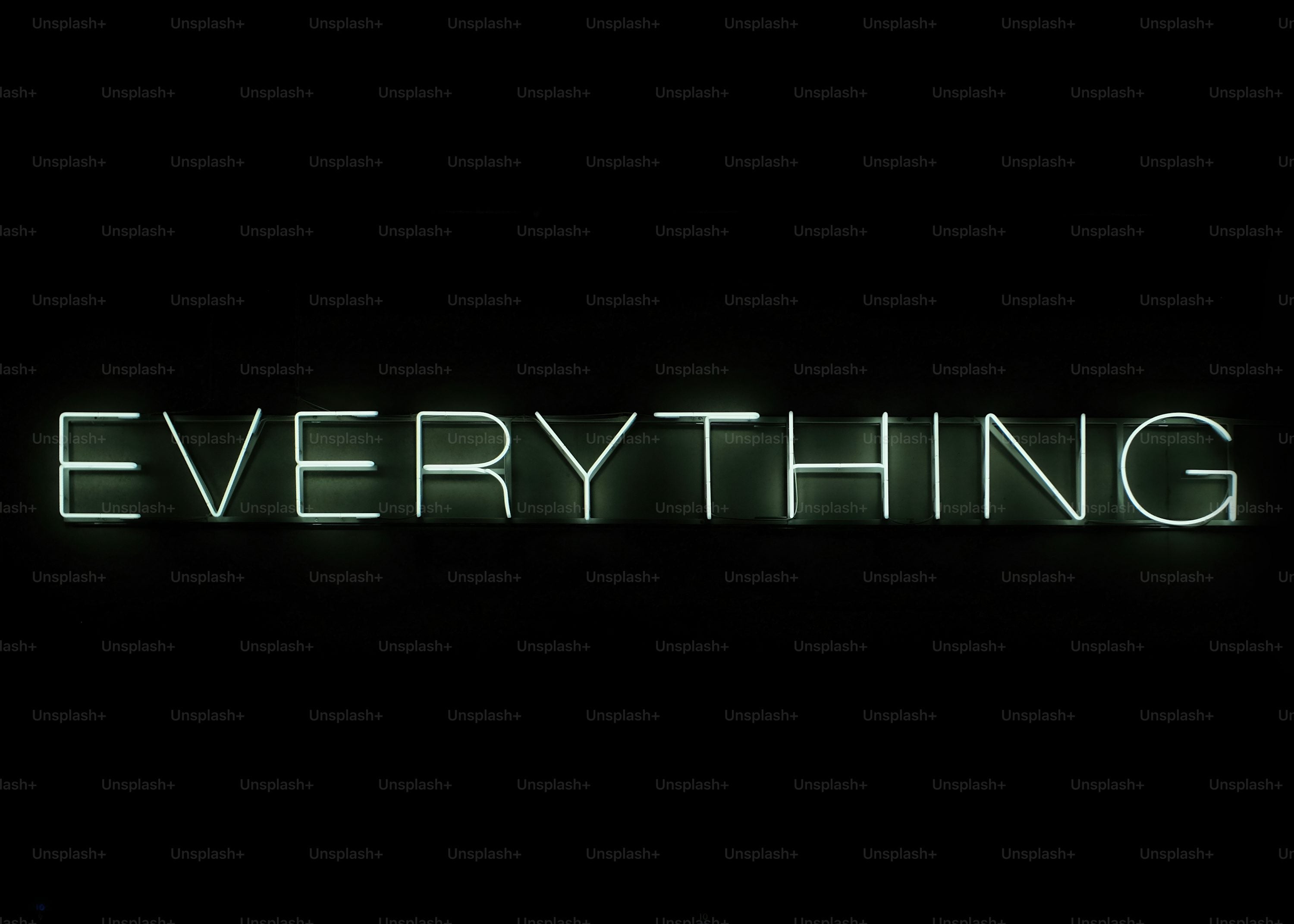 EVERYTHING