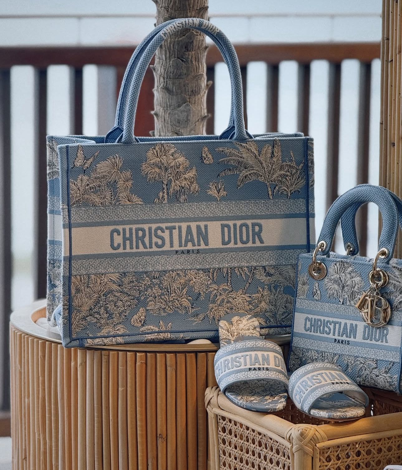 Christian Dior Book Tote – Toile de Jouy Embroidery (Beige)