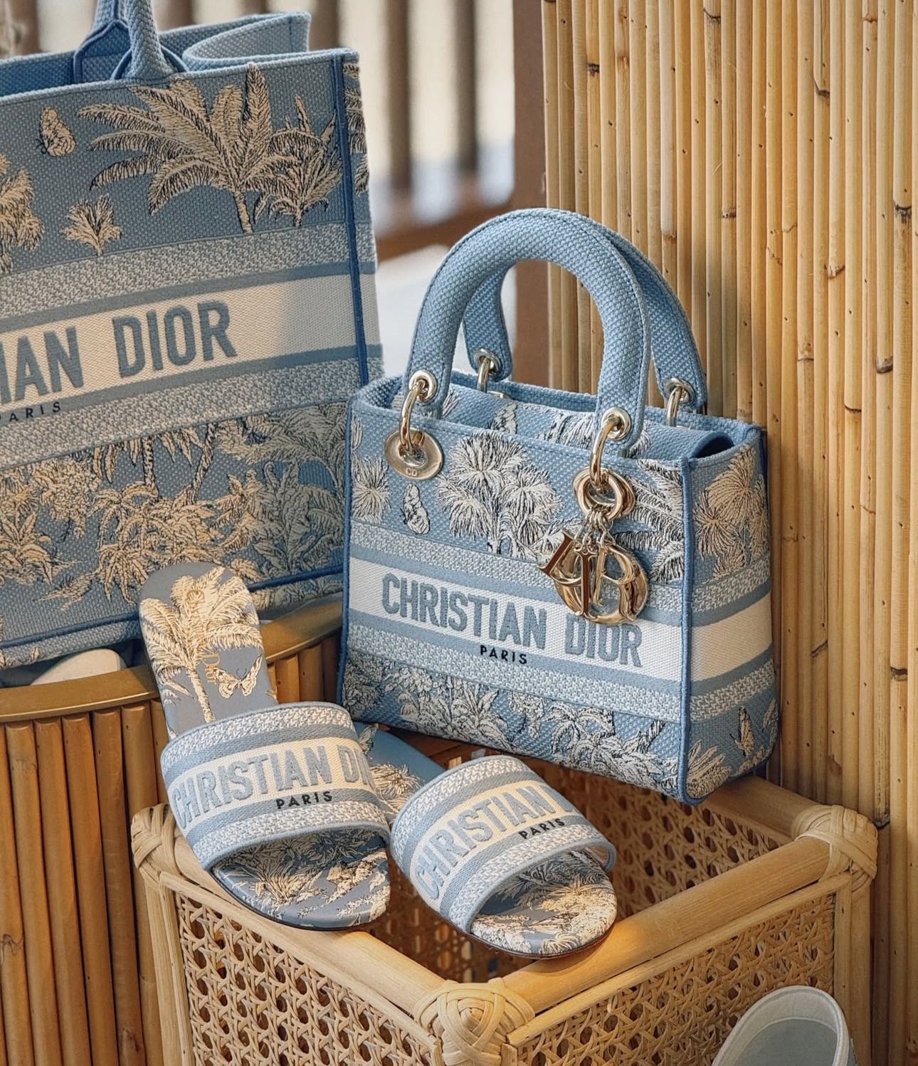 Mini Lady Dior Bag – Toile de Jouy Blue Embroidery