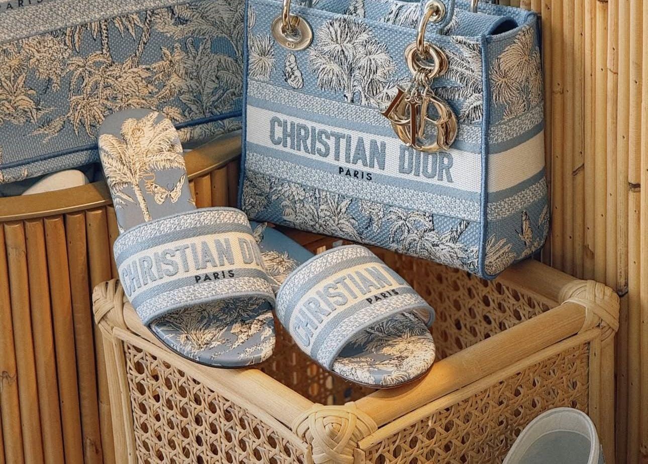 Dior Dway Slides – Toile de Jouy Blue Embroidery