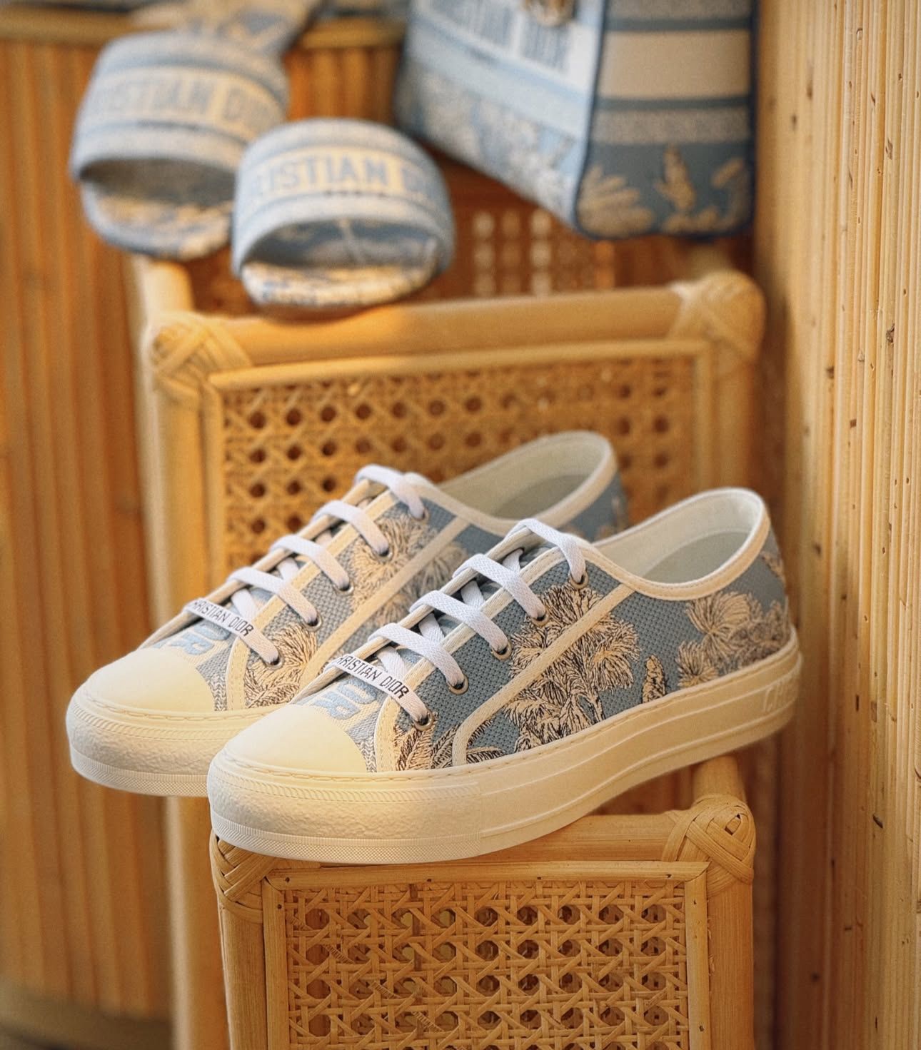 Dior Walk'n'Dior Sneaker – Toile de Jouy Blue