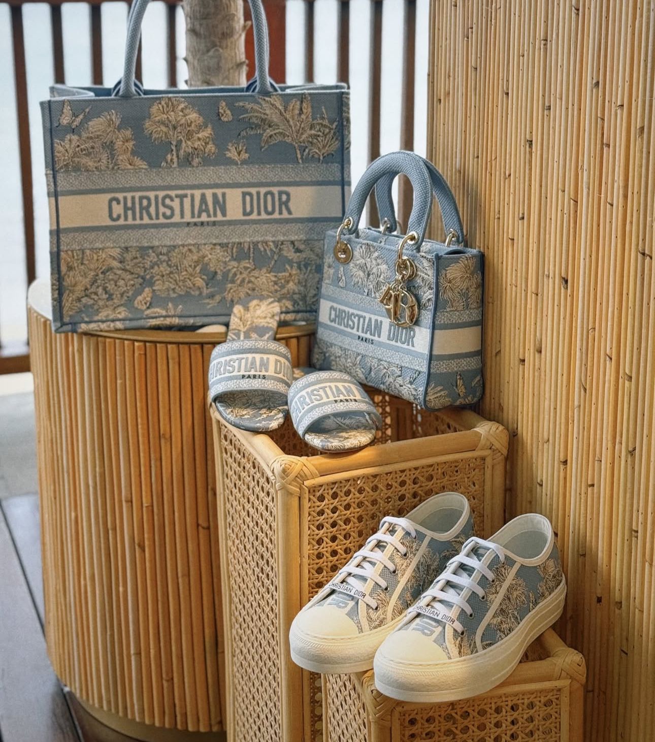 Dior Walk'n'Dior Sneaker – Toile de Jouy Blue